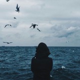 imavois | Unsorted