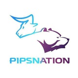 PipsNation Signals⚡