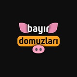 bayirdomuzlariofficial | Unsorted