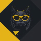 catamoto | Неотсортированное