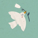 homa_cliniic | Unsorted