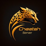 cheetahserver | Unsorted