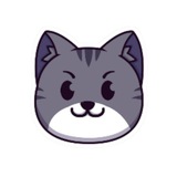 catcoinbsc_italy | Cryptocurrency