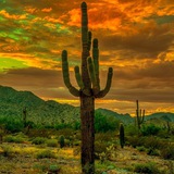 arizonavpn | Неотсортированное