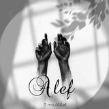 allef | Unsorted