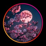 mohamadiparhke | Неотсортированное