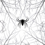 spidertokenchannl | Unsorted