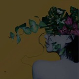 genoart | Unsorted