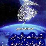 molavipoet | Unsorted