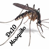 dx10mosquito | Unsorted