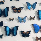 aishatel22 | Unsorted