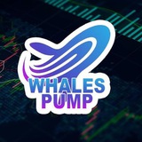 whalespumptutorial | Unsorted