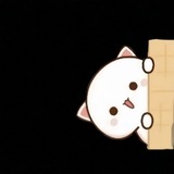 ninihayesayberi | Unsorted