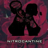 nitrokantin | Unsorted