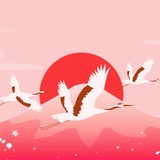 japan_arab | Unsorted