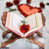 quran246 | Unsorted