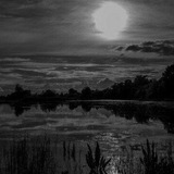 isolationcafe | Unsorted