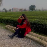 hayalyolu | Unsorted