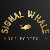 signal_whale | Unsorted