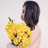 lilium_flwr | Unsorted