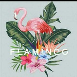 flamingo004 | Unsorted