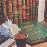 somaelfakhry | Unsorted