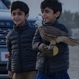 jooo_sanani | Unsorted