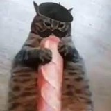 baguettecatsol | Unsorted