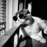 f_joke | Unsorted