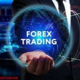 forex100100 | Unsorted