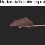 horizontallyspinningrat | Unsorted