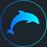 dolphinsfinanceofficialchannel | Unsorted