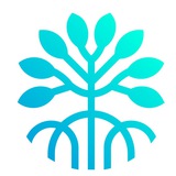 mangrovedao | Unsorted