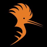 hodhodvpn | Unsorted