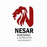 nesar65 | Unsorted