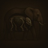 elephantsredemption | Unsorted