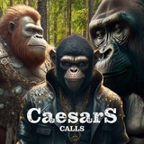 caesars_calls_portal | Unsorted