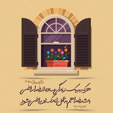 hamsaraneislamii | Unsorted