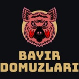 bayiirdomuzlari | Unsorted