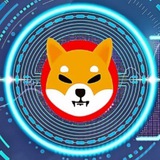 neoshibainu | Unsorted