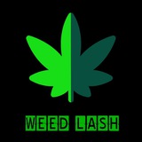 weed_lash_1 | Unsorted