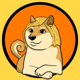 dogegirlbsc1 | Unsorted