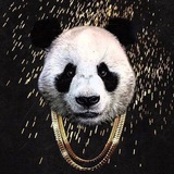 killthatpanda | Unsorted