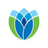 aminsamanfund | Unsorted