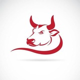 bullfighterfree | Unsorted