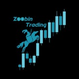 Zoobin Trading | زوبین تریدینگ