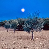 pox_populi | Unsorted