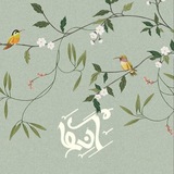 anhaaparat | Unsorted