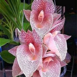 amazingnatures | Unsorted
