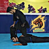 selfdefense_mirsharifi | Unsorted